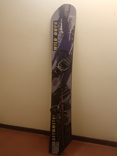Snowboard wild duck - wild,