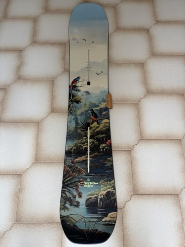 Snowboard burton custom camber - snowboard,